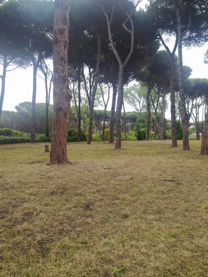 Апартаменты Attico Con Terrazza In Via Dei Traghetti Лидо-ди-Остия Экстерьер фото